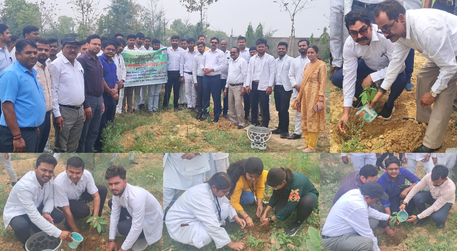 एपेक्स ट्रस्ट प्रांगण मे फल एवं छायादार वृक्षों सहित औषधीय पौधों का रोपण