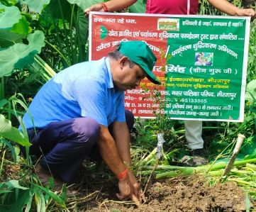 शिक्षक दिवस पर ग्रीनगुरु ने किया अनार के पौध का रोपण